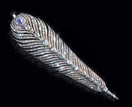 s-Win & Sons (8).jpg